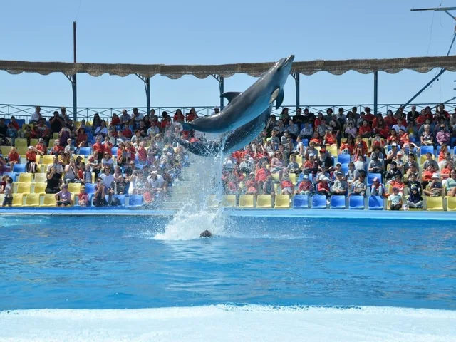 Dolphina Park Hurghada Show Tickets & Transfer Options — photo 2