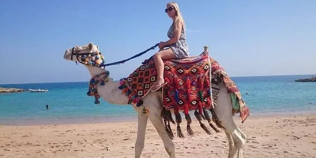 Hurghada Sunset Camel Ride on the Beach & Desert — photo 7