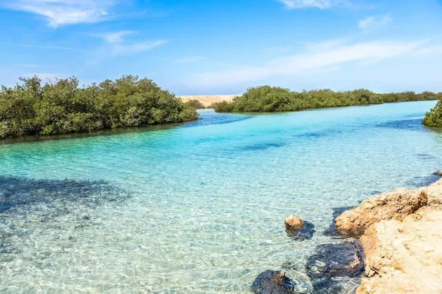 Sharm: Mangrove, Magic Lake, Earthquake Crack & Snorkelling by Bus — photo 22