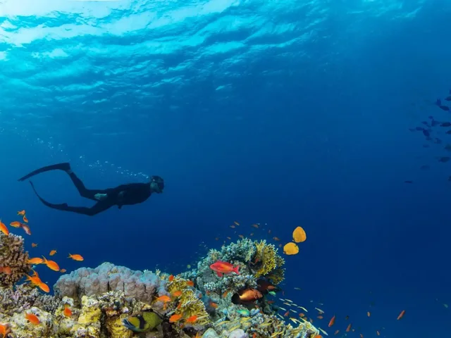 From Sharm: White Island and Ras Mohamed Snorkelling Trip — photo 25