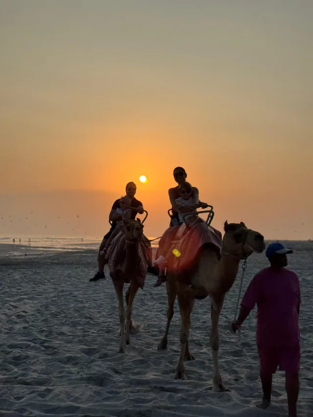 Camel riding on the beach photo 9