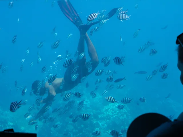 Hula Hula Island Yacht Tour from Hurghada with Lunch — photo 10