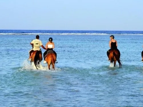 Marsa Alam Beach & Desert Horse Riding Tour — photo 10