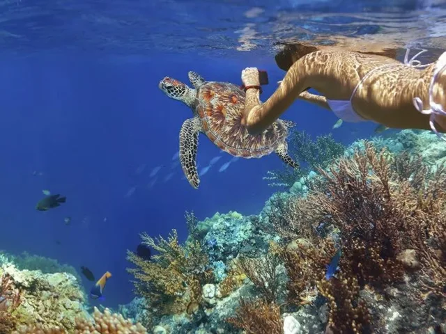 Marsa Alam Pirates Premium Cruise to Turtle Bay — photo 17