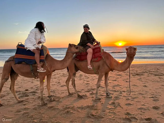 Hurghada Sunset Camel Ride on the Beach & Desert — photo 3