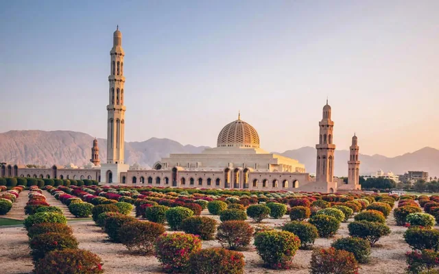 Birdwatching Tour with Mosque Visit — reference photograph