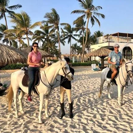 Guided horse ride on Hawana Salalah beach
