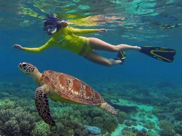Marsa Mubarak Snorkeling: Dugongs & Turtles from Marsa Alam — photo 10