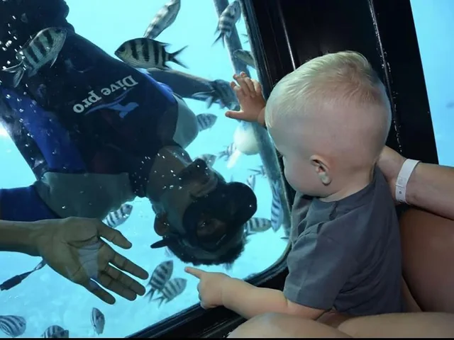 Royal Seascope Semi-Submarine Tour in Marsa Alam — photo 11