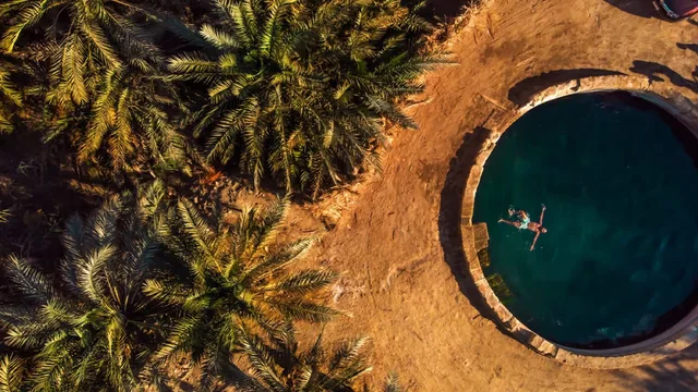 Private Siwa Oasis Full Day Tour — photo 40