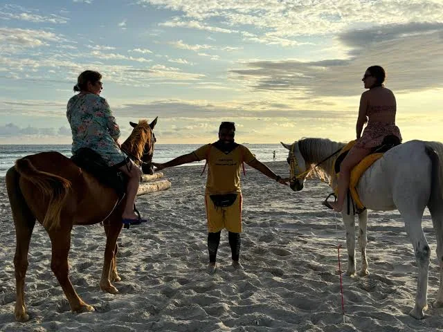 Guided horse riders by the sea in Salalah