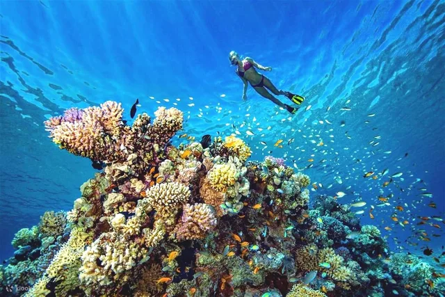 Hurghada Island-Hopping Yacht Tour & Dolphin Watching — photo 5