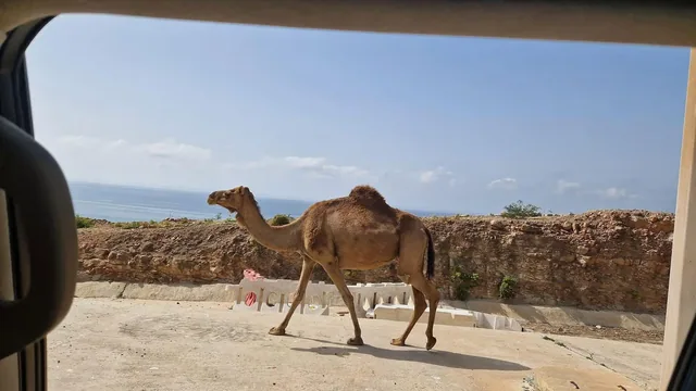 East Salalah full-day tour photo 13