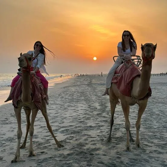 Camel riding on the beach photo 16