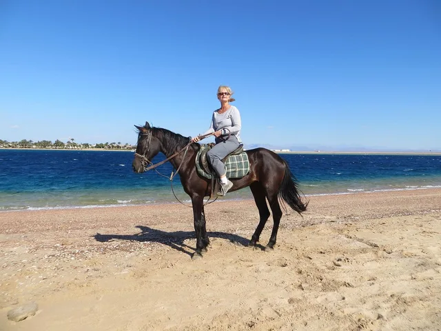 Dahab Lagoon Beach Horse Riding Tour — photo 2