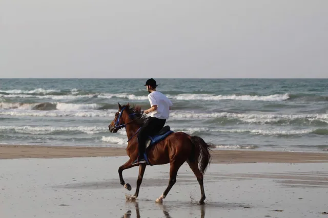 Horse Riding on the Beach — reference photograph