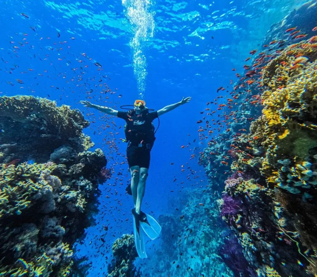 From Sharm: White Island and Ras Mohamed Snorkelling Trip — photo 16