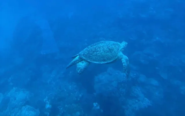 Glass-Bottom Boat Trip from Taba via Sharm El Sheikh — photo 13