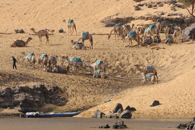 St Simeon Monastery Boat and Camel Tour from Aswan — photo 9