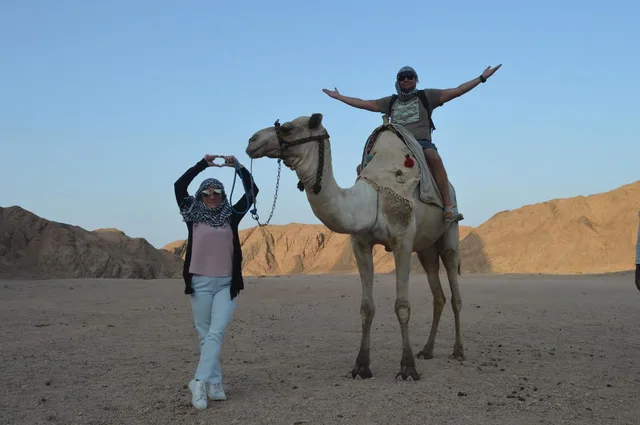 Marsa Alam Stargazing Safari with Quad Ride & Dinner — photo 13