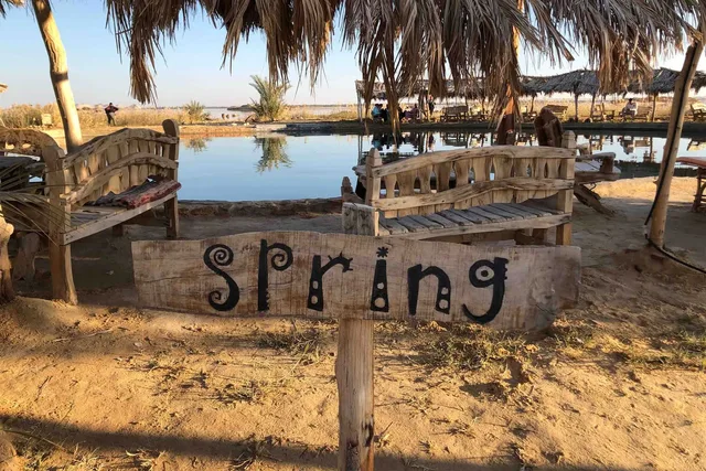 Private Siwa Oasis Full Day Tour — photo 53
