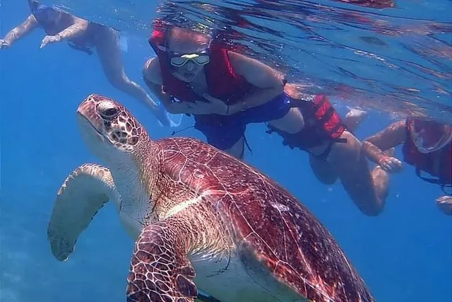 Marsa Mubarak Snorkeling: Dugongs & Turtles from Marsa Alam — photo 2