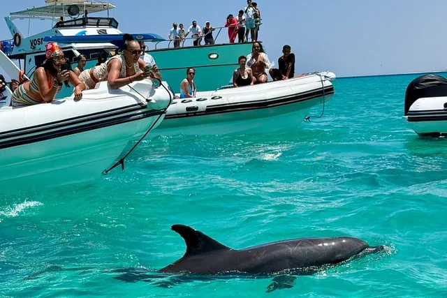 Hurghada Island-Hopping Yacht Tour & Dolphin Watching — photo 3