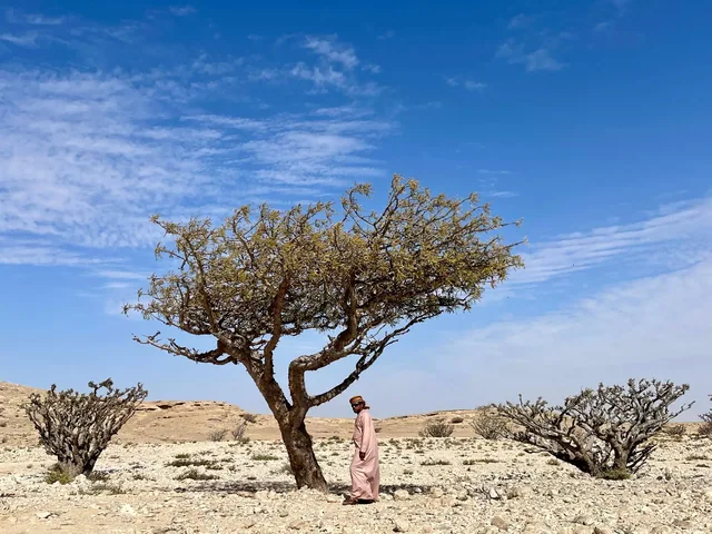 Empty Quarter desert landscape