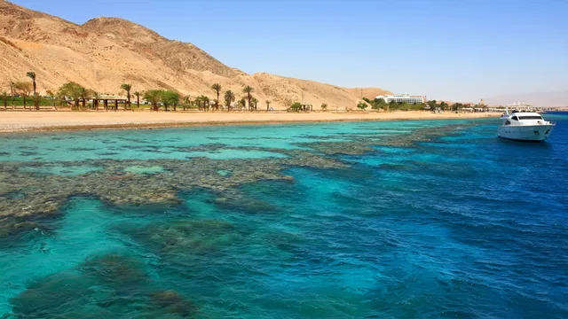Petra Day Tour from Taba by Ferry — photo 2