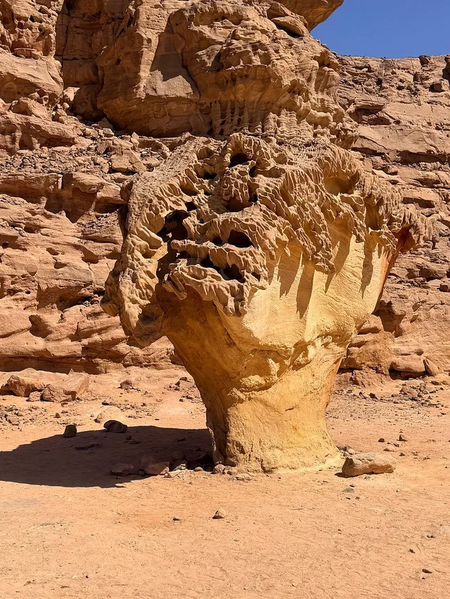 White Canyon & Coloured Canyon Jeep Safari from Dahab — photo 4