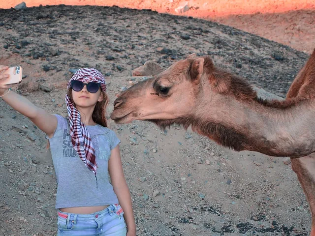 Jeep, Coloured Canyon, Snorkelling, Camel, Quad & Dahab from Sharm El Sheikh — photo 9
