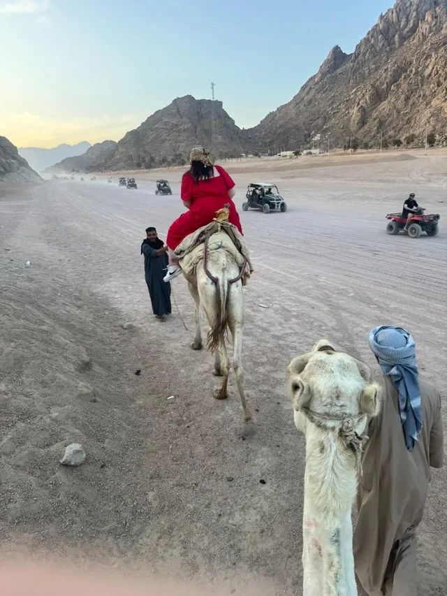 Camel Ride & Bedouin Dinner Safari from Sharm El Sheikh — photo 11