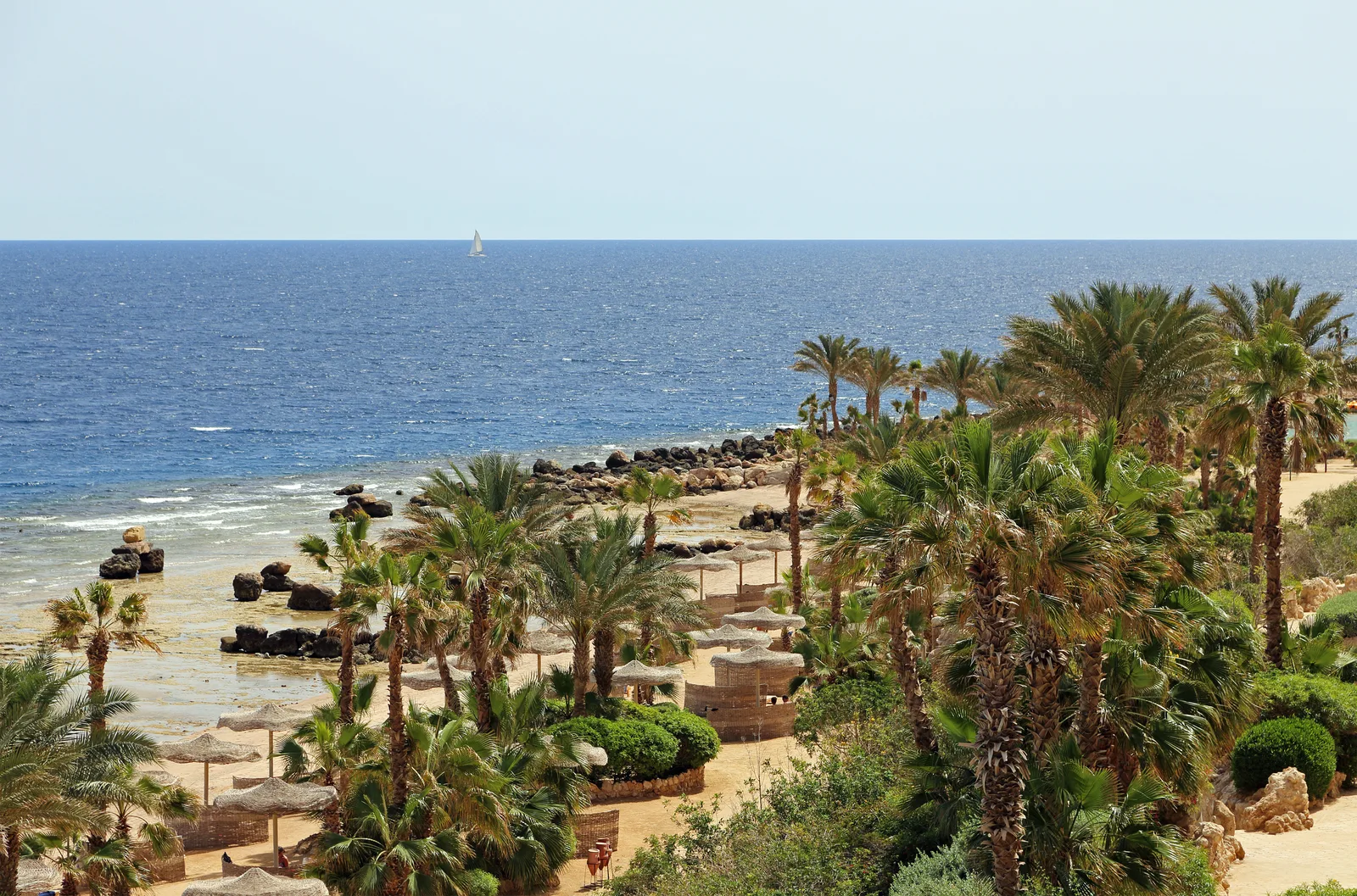 Red Sea shoreline, palms and a boat near Hurghada