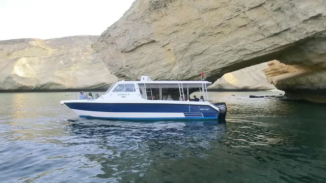 Dolphin Watching & Snorkeling — reference photograph