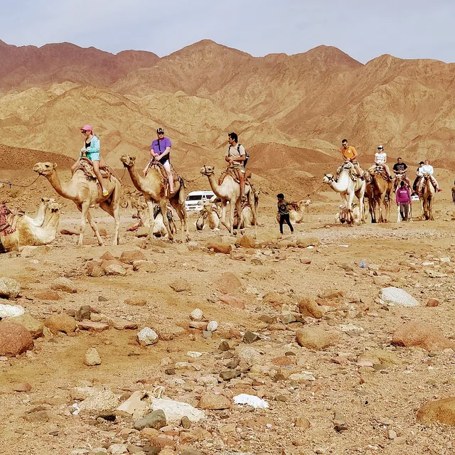Coloured Canyon Jeep Safari from Taba — photo 18