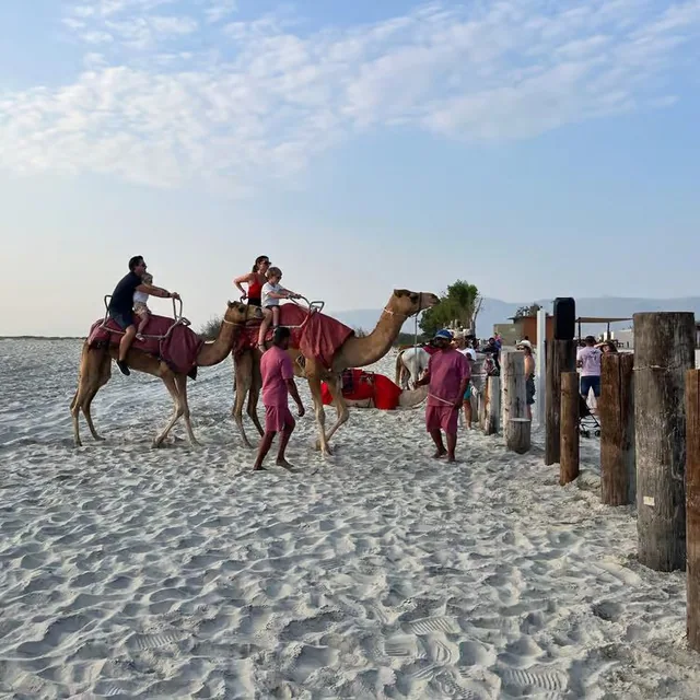 Camel riding on the beach photo 12