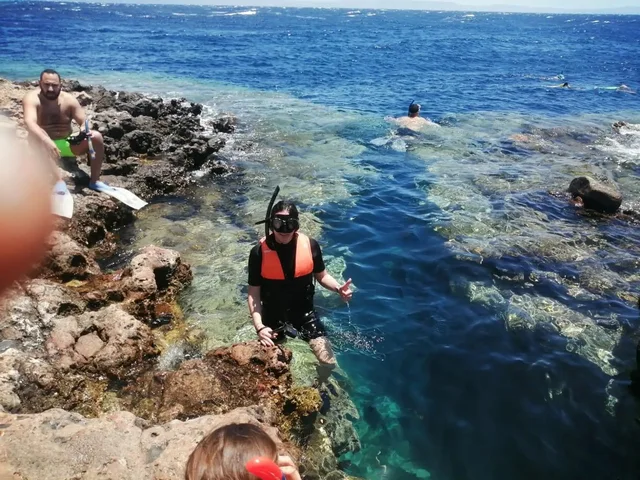 Jeep, Coloured Canyon, Snorkelling, Camel, Quad & Dahab from Sharm El Sheikh — photo 8