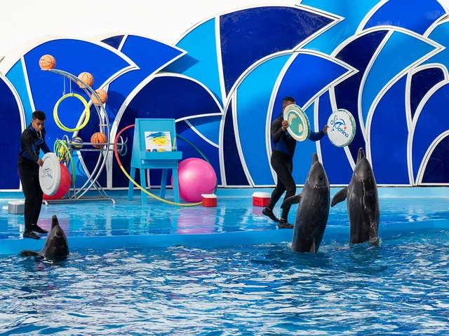 Dolphina Park Hurghada Show Tickets & Transfer Options — photo 4