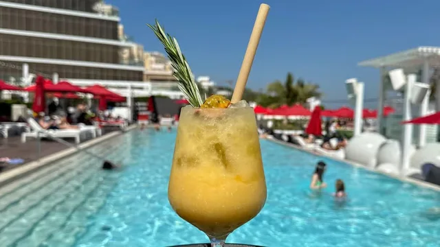 Dubai: Beach Day on the Palm with Skyline Views in Dubai — experience image 6 of 7