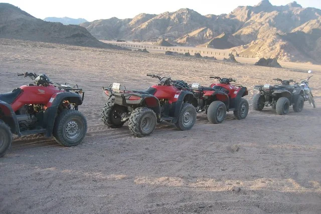 Dahab Blue Hole Snorkeling, Camel & Quad Tour with Lunch — photo 3