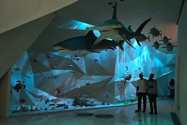 Full-Day Museum Tour in Doha in Doha — experience image 4 of 13