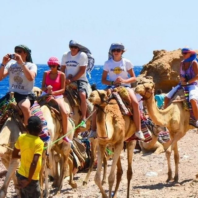Dahab Blue Hole Snorkeling, Camel & Quad Tour with Lunch — photo 2