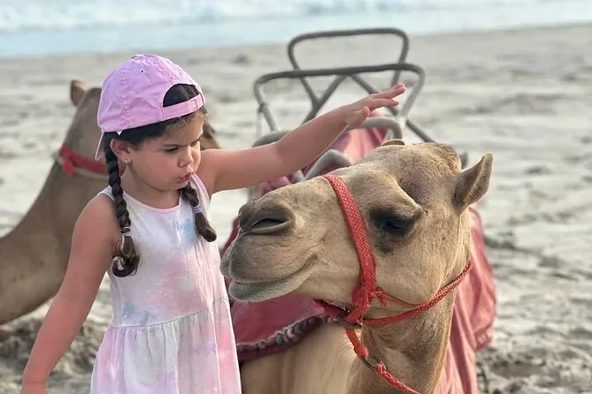A young visitor beside a camel on the beach; participation must be confirmed