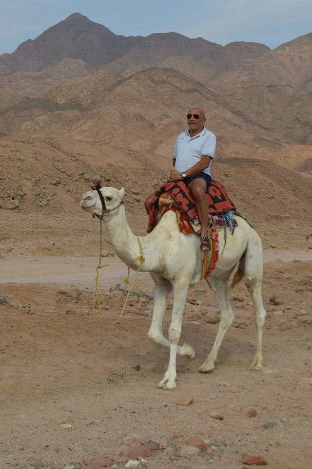 Coloured Canyon Jeep Safari from Taba — photo 12