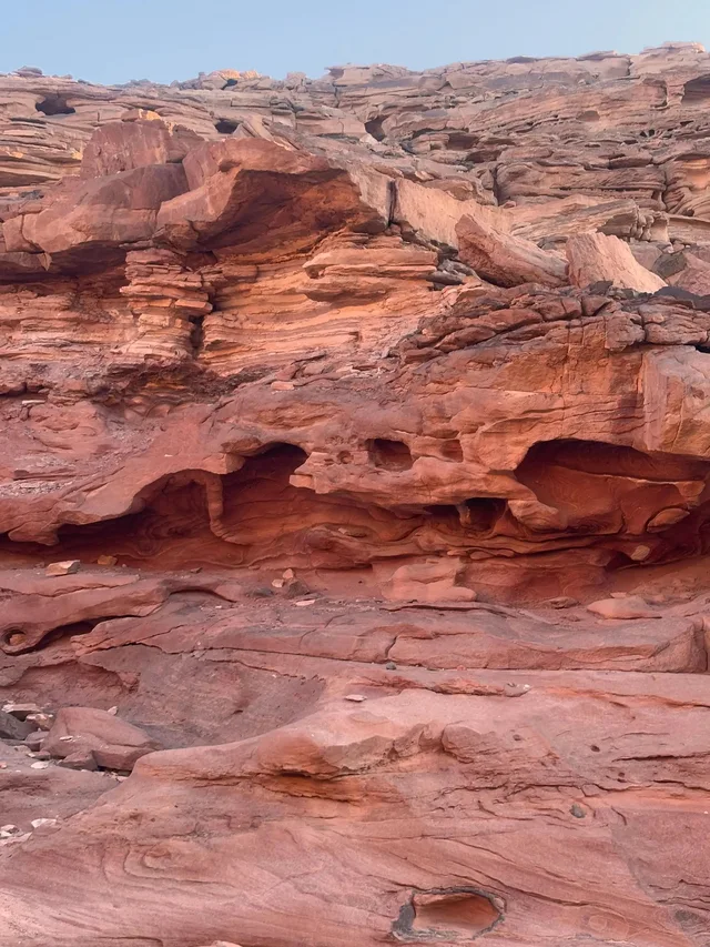 Camel Ride & Bedouin Dinner Safari from Sharm El Sheikh — photo 4