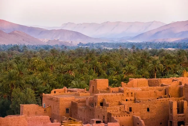 Private Siwa Oasis Full Day Tour — photo 5