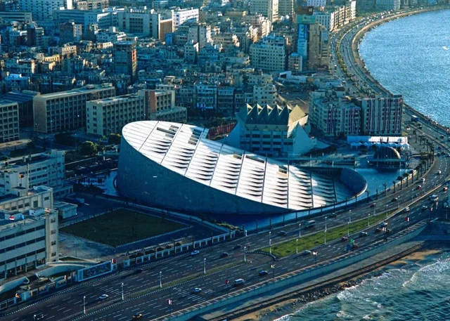 Alexandria Port Shore Excursion: City Highlights — photo 4