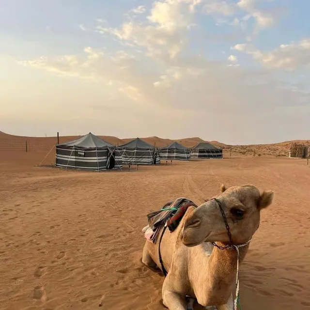Overnight desert safari photo 29
