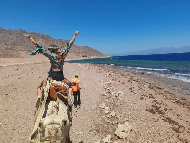Jeep, Coloured Canyon, Snorkelling, Camel, Quad & Dahab from Sharm El Sheikh — photo 10