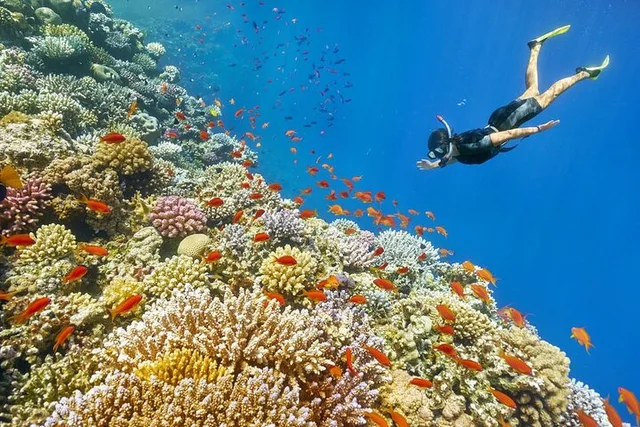 Dahab Blue Hole Snorkeling, Camel & Quad Tour with Lunch — photo 9